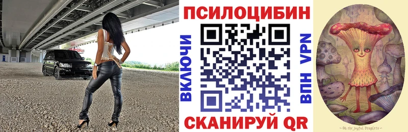 Псилоцибиновые грибы GOLDEN TEACHER  ссылка на мегу ONION  Долгопрудный 