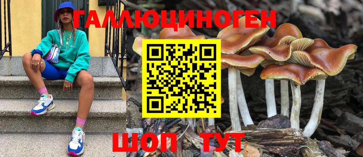 Псилоцибиновые грибы Magic Shrooms Долгопрудный